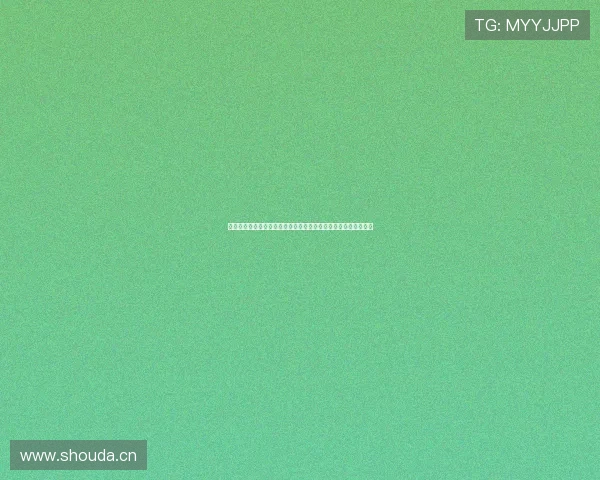 穿梭枪林弹雨，只为心中正义：重温《火线追缉令》的震撼与思考